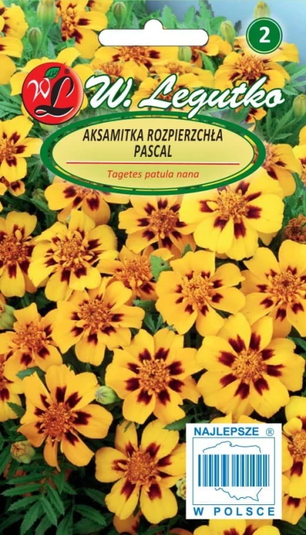 Aksamitka rozpierzchła poj. Pascal