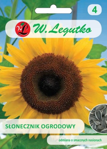 Słonecznik ogrodowy, nasiona pakowane