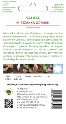 Sałata mieszanka odmian