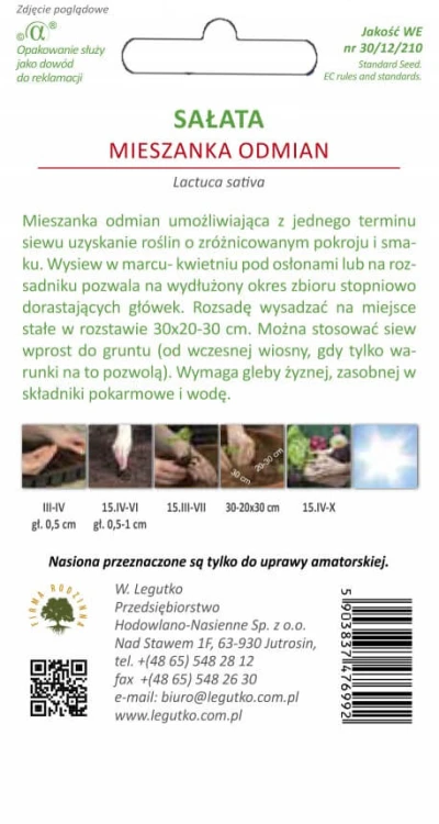 Sałata mieszanka odmian