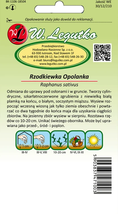 Rzodkiewka opolanka tył
