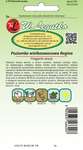 Poziomka regina tył