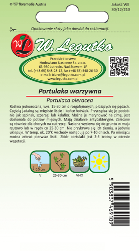 Portulaka warzywna tył