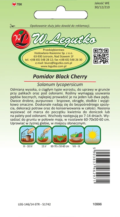 Pomidor Black cherry tył