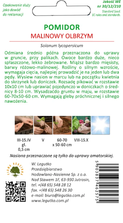 Pomidor malinowy olbrzym tył
