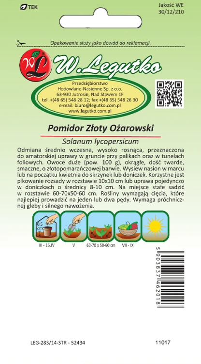 Pomidor złoty ozarowski tył