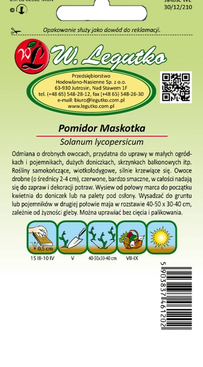 Pomidor Maskotka tył