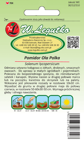 Pomidor Ola Polka tył