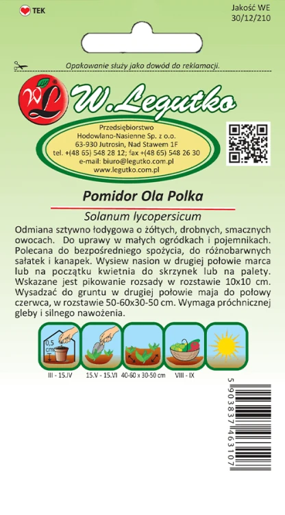 Pomidor Ola Polka tył