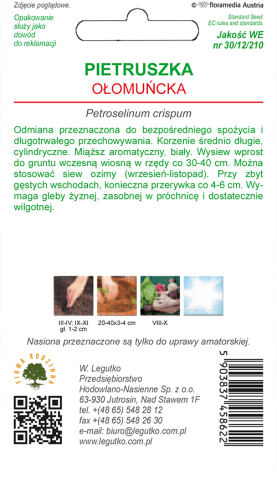 Pietruszka ołomuńcka tył