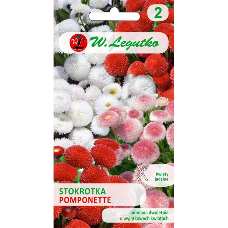 Stokrotka pospolita Pomponette mieszanka