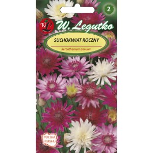 Suchokwiat roczny mieszanka