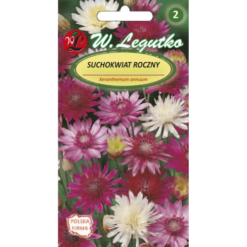 Suchokwiat roczny mieszanka
