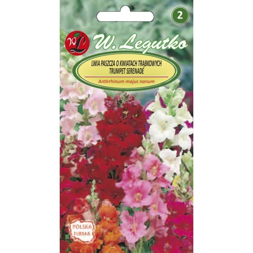 Lwia paszcza niska - Trumpet Serenade