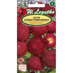 Aster chiński pomponowy - czerwony