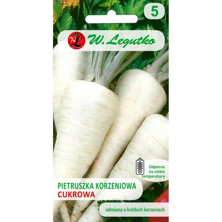 Pietruszka korzeniowa - cukrowa