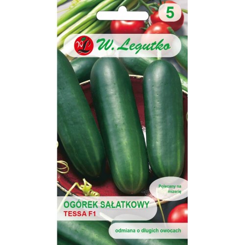 Ogórek gruntowy sałatkowy - Tessa F1