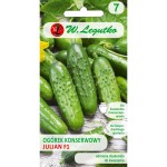 Ogórek gruntowy do kwaszenia - Julian