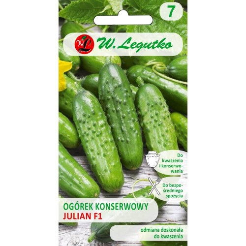 Ogórek gruntowy do kwaszenia - Julian