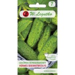 Ogórek Hermes Skierniewicki F1