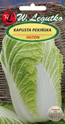 Kapusta pekińska Hilton