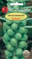 Kapusta brukselka Groniger