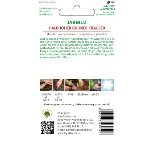 Jarmuż Halbhoher gruner krauser