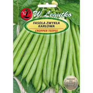 Fasola szparagowa Cropper Teepee