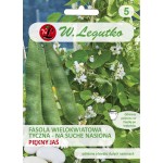 Fasola wielokwiatowa Piękny Jaś