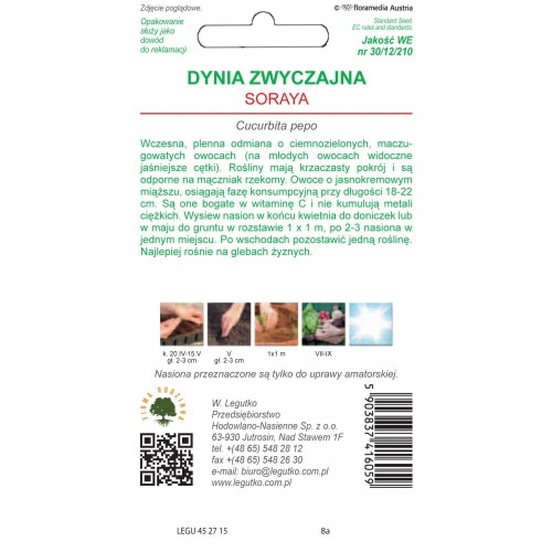 Dynia zwyczajna Soraya