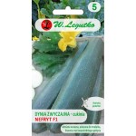 Dynia zwyczajna - cukinia - Nefryt F1