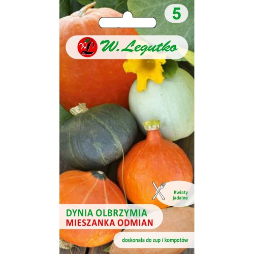 Dynia olbrzymia mieszanka odmian