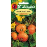 Dynia olbrzymia Amazonka