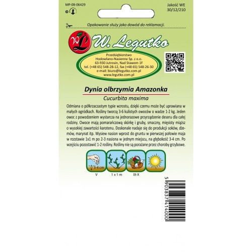 Dynia olbrzymia Amazonka