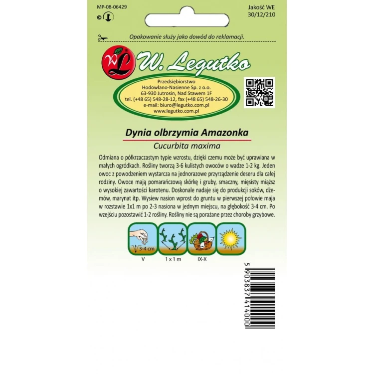 Dynia olbrzymia Amazonka