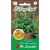 Oregano, Lebiodka pospolita