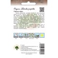Oregano, Lebiodka pospolita