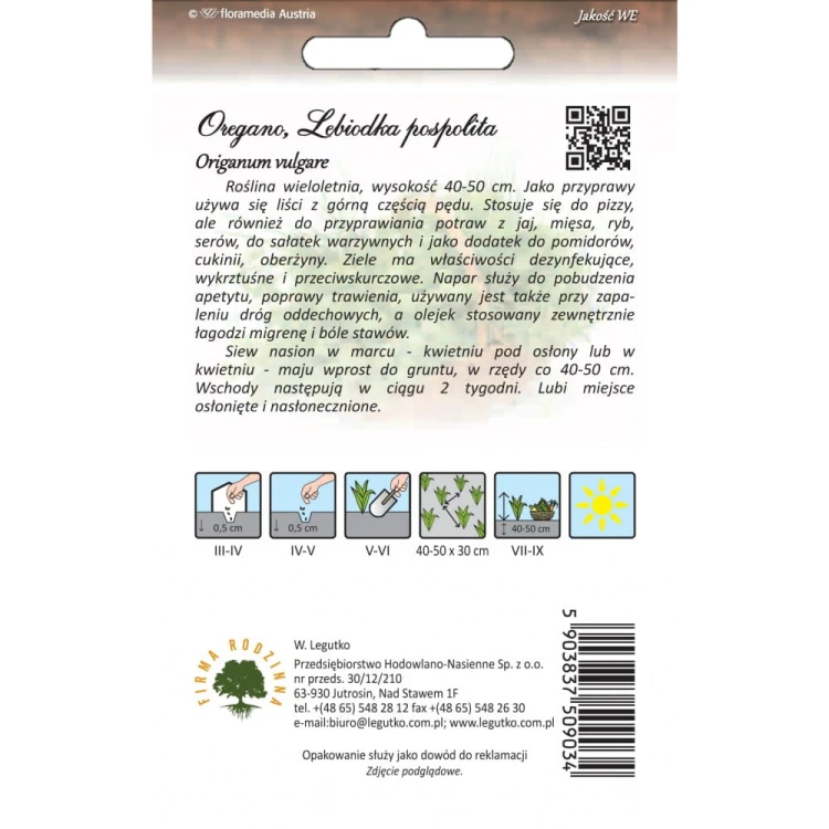 Oregano, Lebiodka pospolita