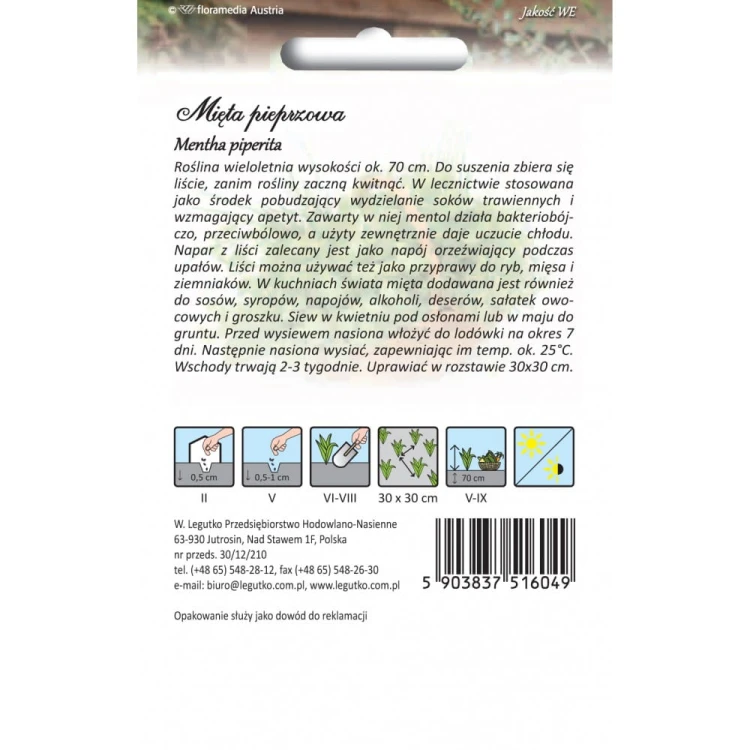 Mięta pieprzowa