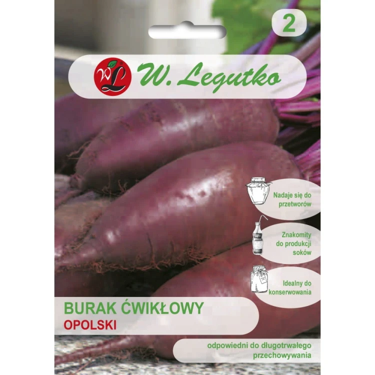 Burak ćwikłowy Opolski