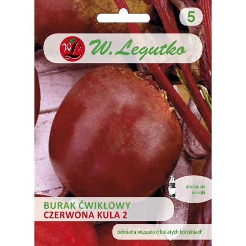 Burak ćwikłowy Czerwona Kula