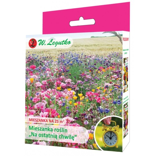 Mieszanka roślin jednorocznych - Na ostatnią chwilę
