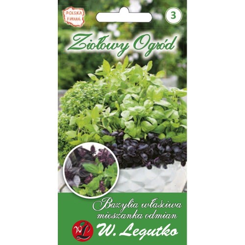 Bazylia właściwa mieszanka odmian