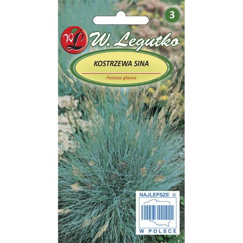 Kostrzewa sina - srebrzystoniebieska