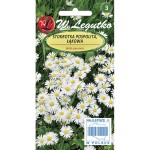 Stokrotka łąkowa - biała