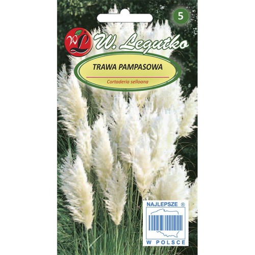 Trawa pampasowa biała