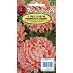 Aster chiński peoniowy - Janina - łososiowy