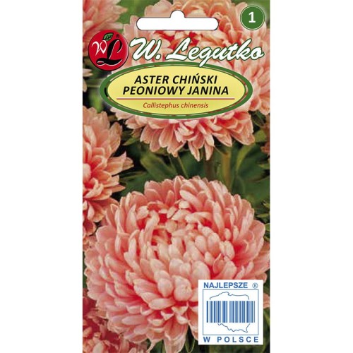 Aster chiński peoniowy - Janina - łososiowy