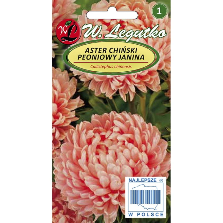 Aster chiński peoniowy - Janina - łososiowy