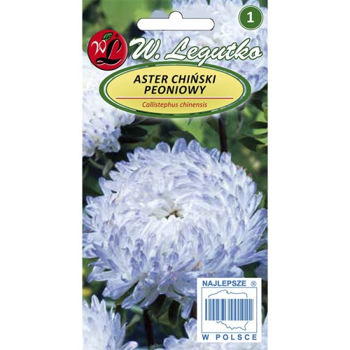 Aster chiński peoniowy - biało-niebieski